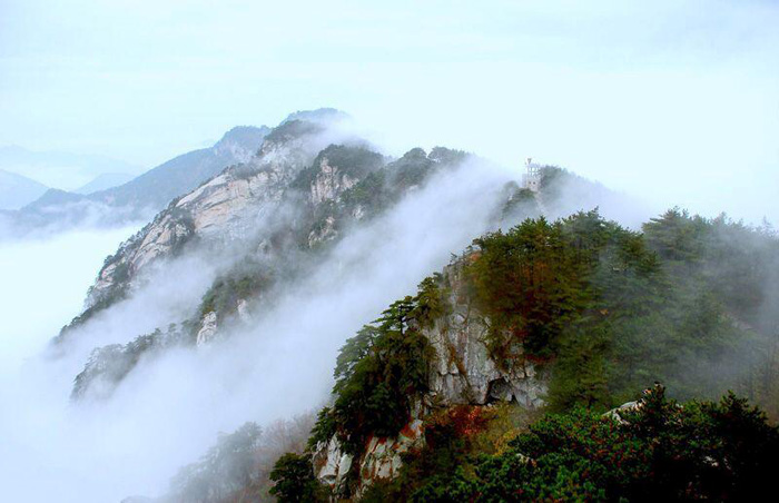 華東區最后一片原始森林